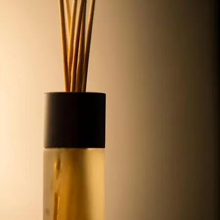 Gastenkamers Uitgaanslapen 3* Nieuwpoort