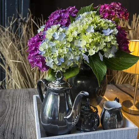 Casa de hóspedes Gastenkamers Uitgaanslapen