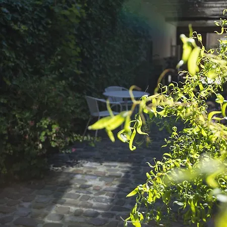 Gastenkamers Uitgaanslapen Casa de hóspedes 3*