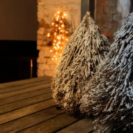 Gastenkamers Uitgaanslapen 3* Nieuwpoort