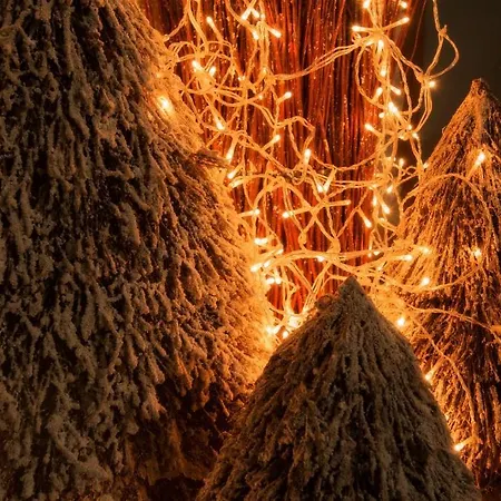 Casa de hóspedes Gastenkamers Uitgaanslapen