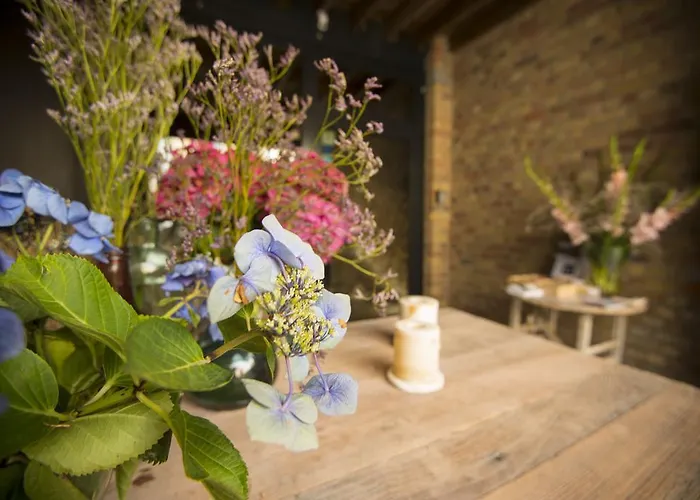 Guest house Gastenkamers Uitgaanslapen