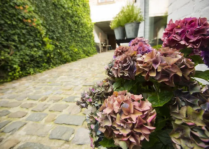 Guest house Gastenkamers Uitgaanslapen 3*