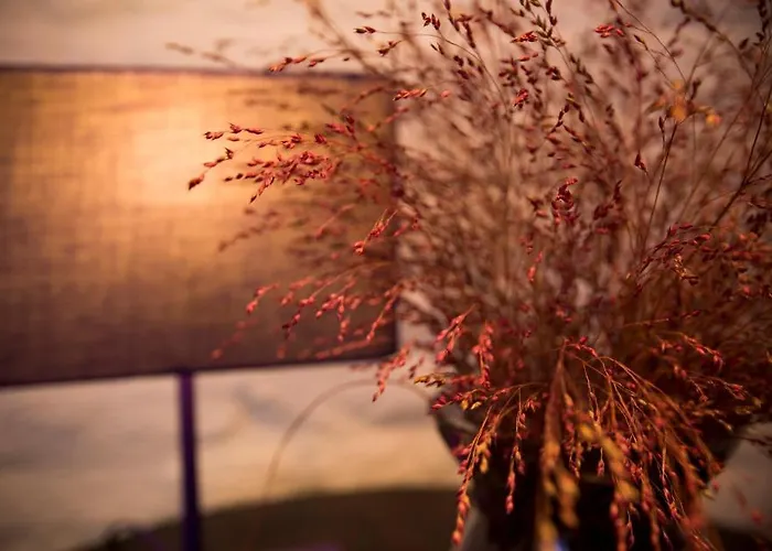 Gastenkamers Uitgaanslapen