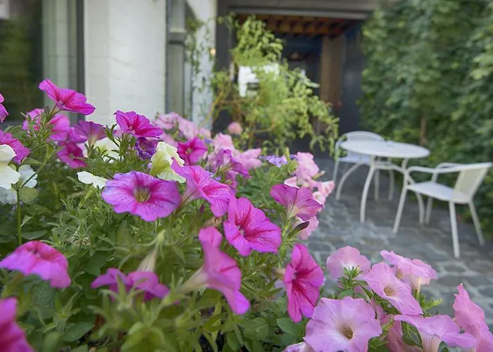 Gastenkamers Uitgaanslapen Nieuwpoort