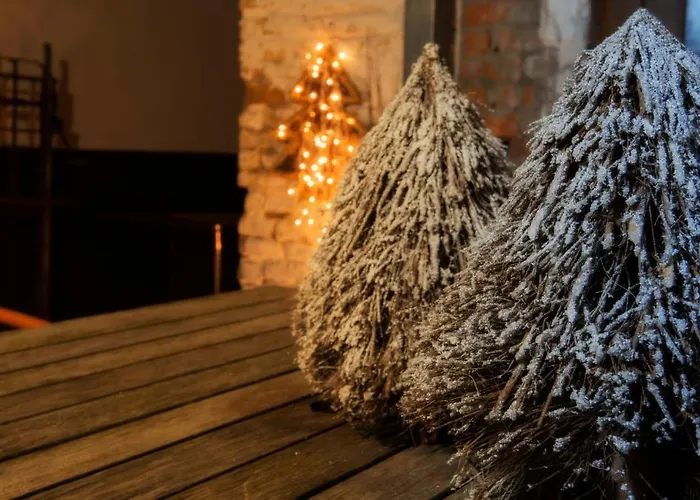 Gastenkamers Uitgaanslapen 3* Nieuwpoort