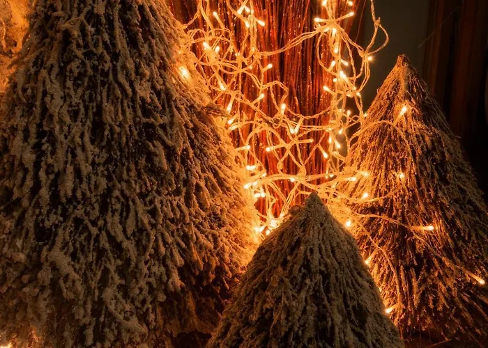 게스트하우스 Gastenkamers Uitgaanslapen