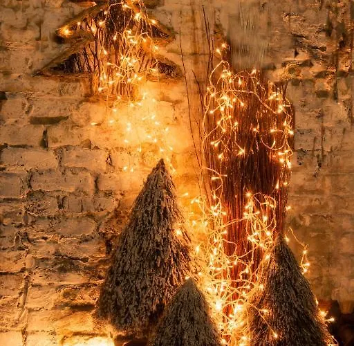 Gastenkamers Uitgaanslapen 니우포르트